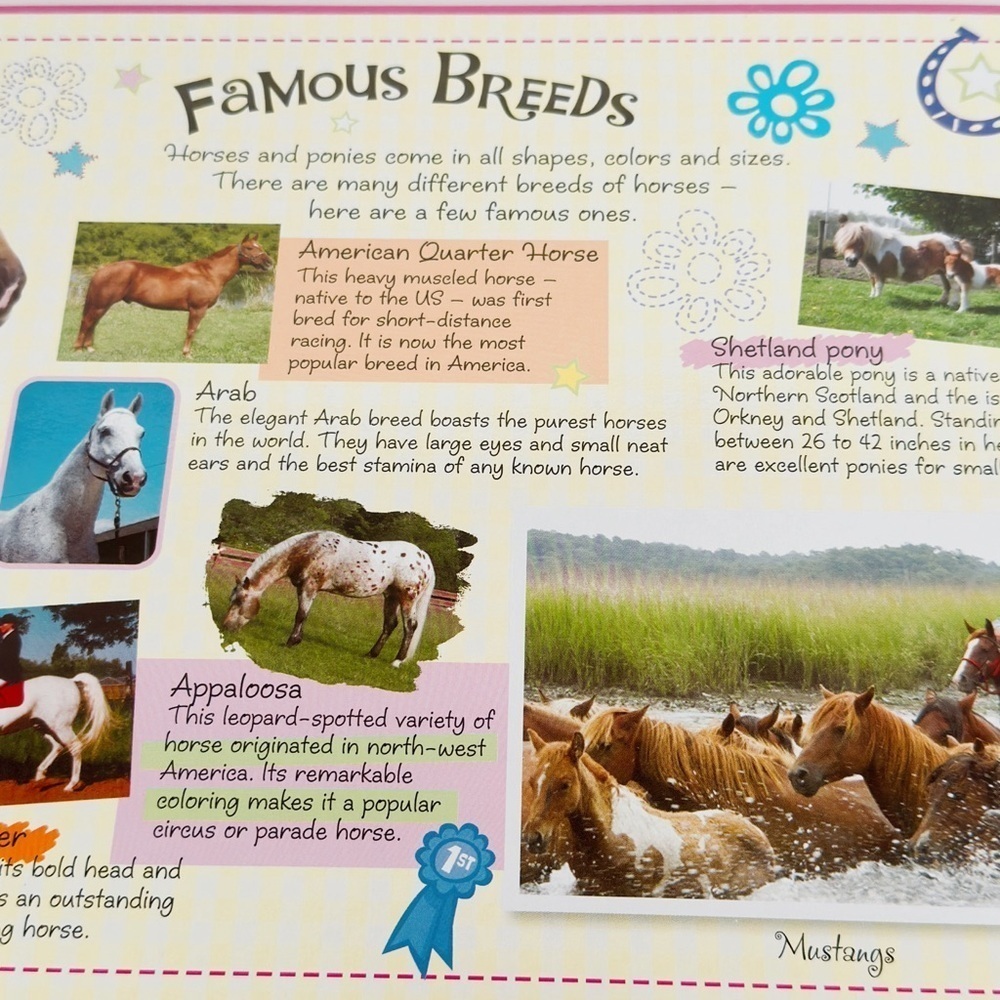 Totally Horses: Jigsaw Puzzle Book - Picture 4 of 9